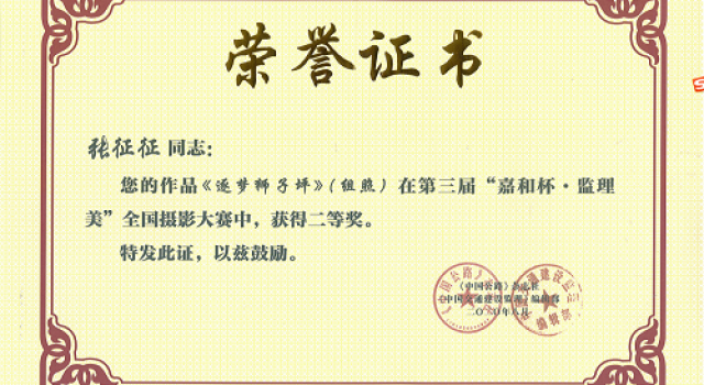 喜訊！公司員工獲得“全國攝影大賽二等獎”