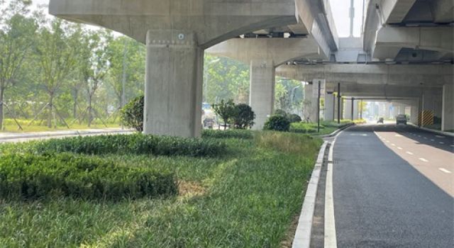 淄博快速路--寶山路綠化工程順利完工，獻(xiàn)禮國(guó)慶75周年